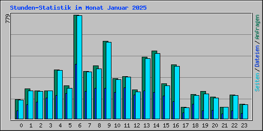Stunden-Statistik im Monat Januar 2025