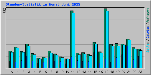 Stunden-Statistik im Monat Juni 2025