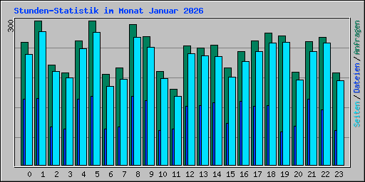 Stunden-Statistik im Monat Januar 2026