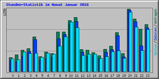 Stunden-Statistik im Monat Januar 2016