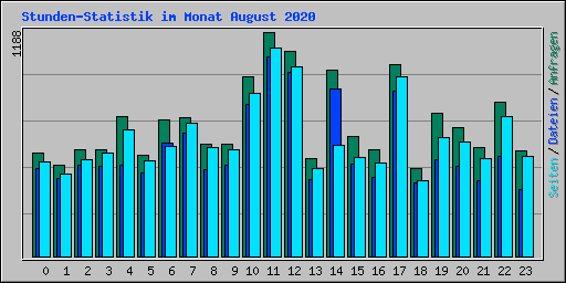 Stunden-Statistik im Monat August 2020