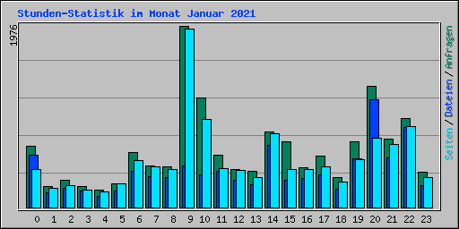 Stunden-Statistik im Monat Januar 2021