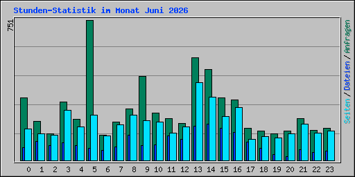 Stunden-Statistik im Monat Juni 2026