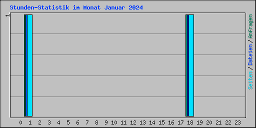 Stunden-Statistik im Monat Januar 2024