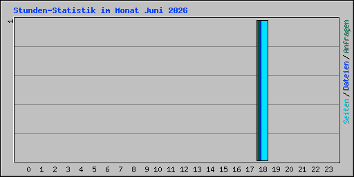 Stunden-Statistik im Monat Juni 2026