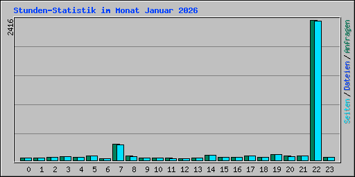 Stunden-Statistik im Monat Januar 2026
