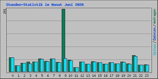 Stunden-Statistik im Monat Juni 2026